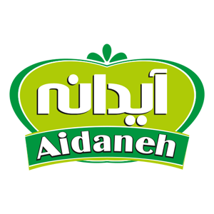 Logo design and visual identity of Aidane company by afaghdesign