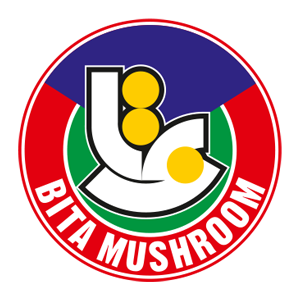 Logo design and visual identity of Beta mushroom production company by afaghdesign